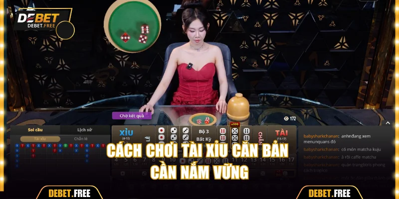 Cách chơi tài xỉu căn bản cần nắm vững